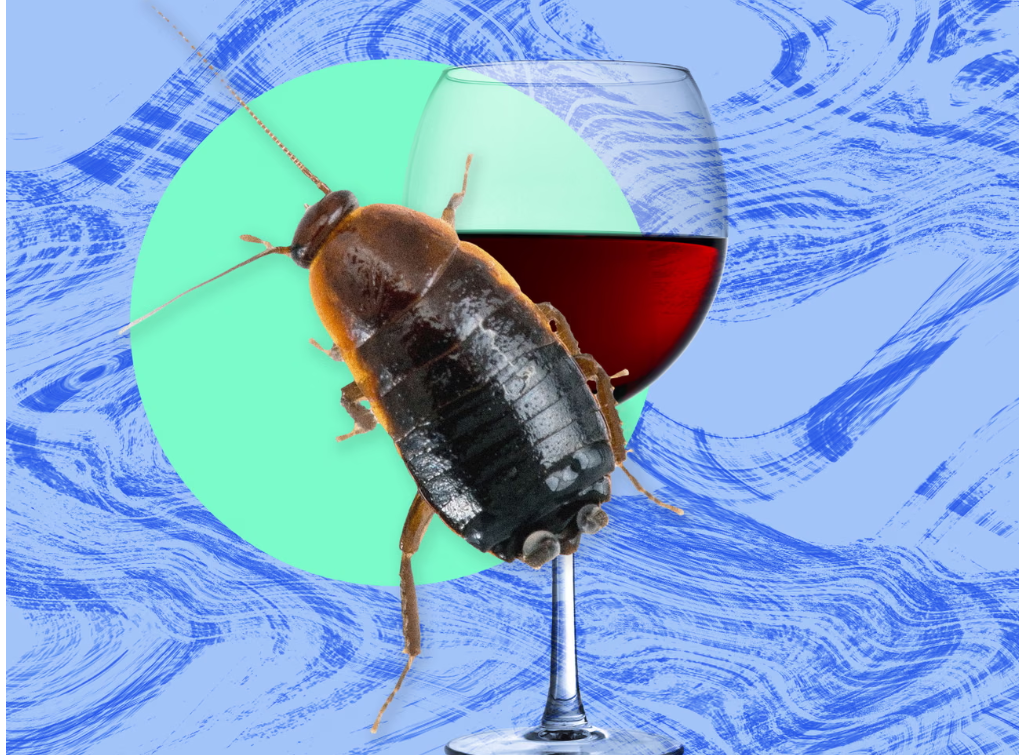 外刊精读|Cockroach‑infested London flat